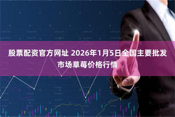 股票配资官方网址 2026年1月5日全国主要批发市场草莓价格行情